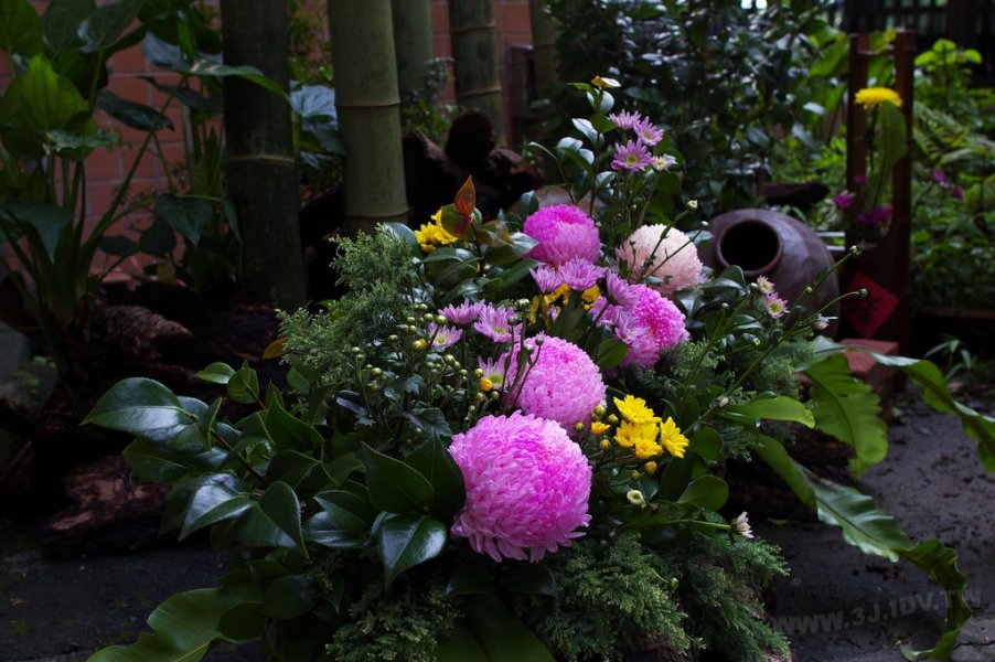 2011百年茶戲人間