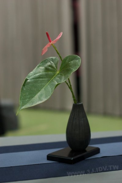 2011百年茶戲人間