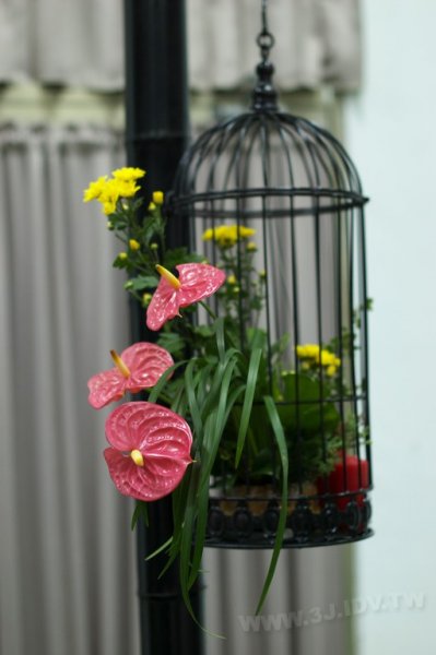 2011百年茶戲人間