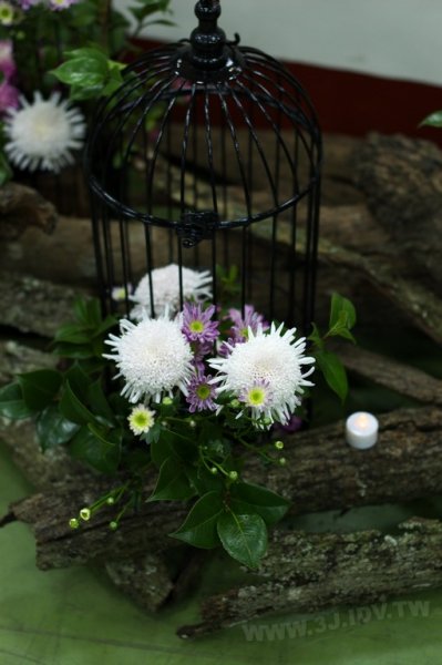 2011百年茶戲人間