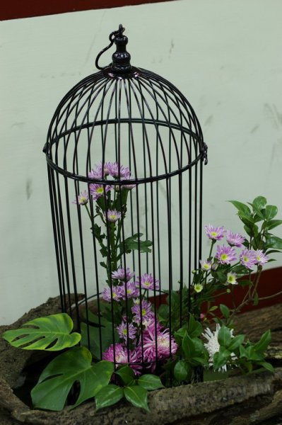 2011百年茶戲人間