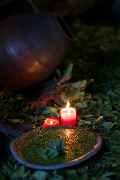 2011百年茶戲人間