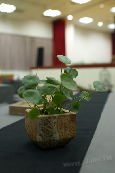 2011百年茶戲人間