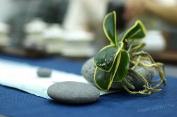 2011百年茶戲人間