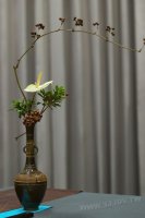 2011百年茶戲人間