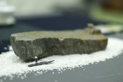 2011百年茶戲人間