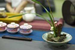 2011百年茶戲人間