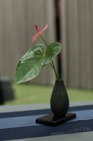 2011百年茶戲人間