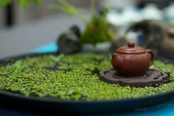 2011百年茶戲人間