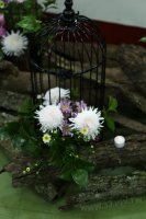 2011百年茶戲人間