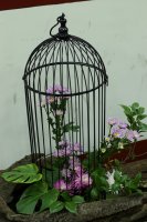 2011百年茶戲人間