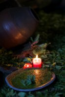 2011百年茶戲人間