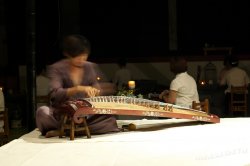 2011百年茶戲人間