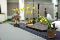 2011百年茶戲人間