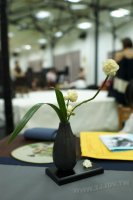 2011百年茶戲人間