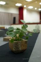 2011百年茶戲人間