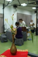 2011百年茶戲人間