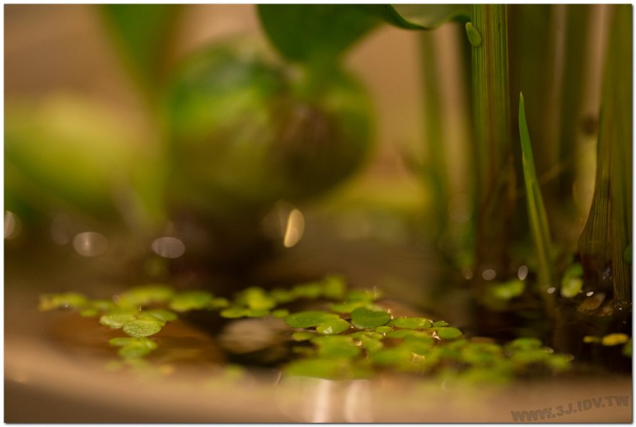 2017茶席文化-思想起