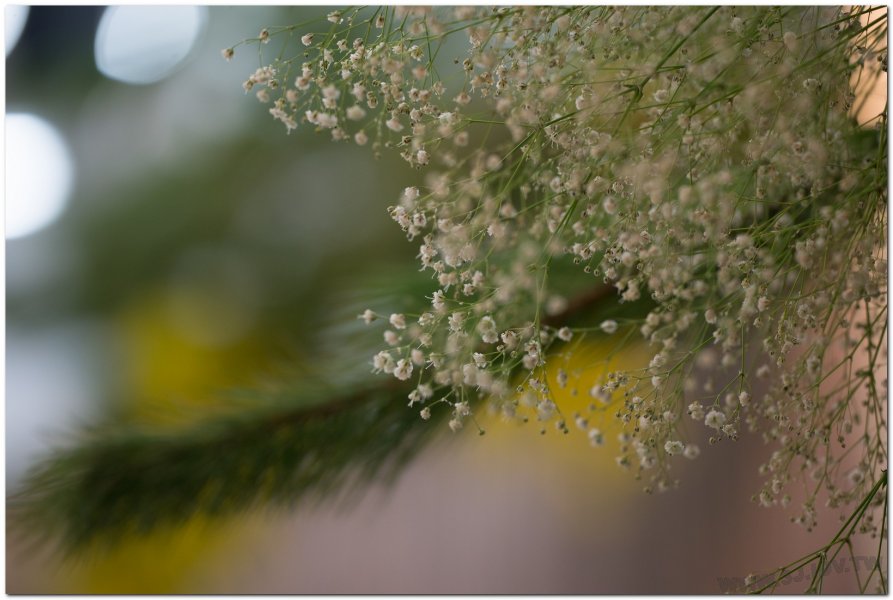 2017茶席文化-思想起