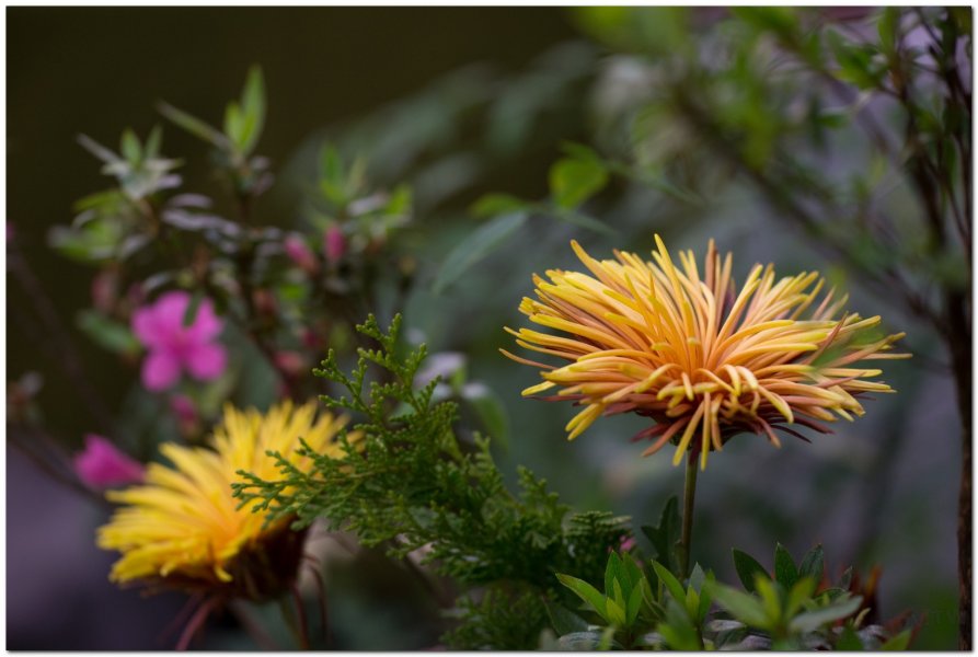 2017茶席文化-思想起
