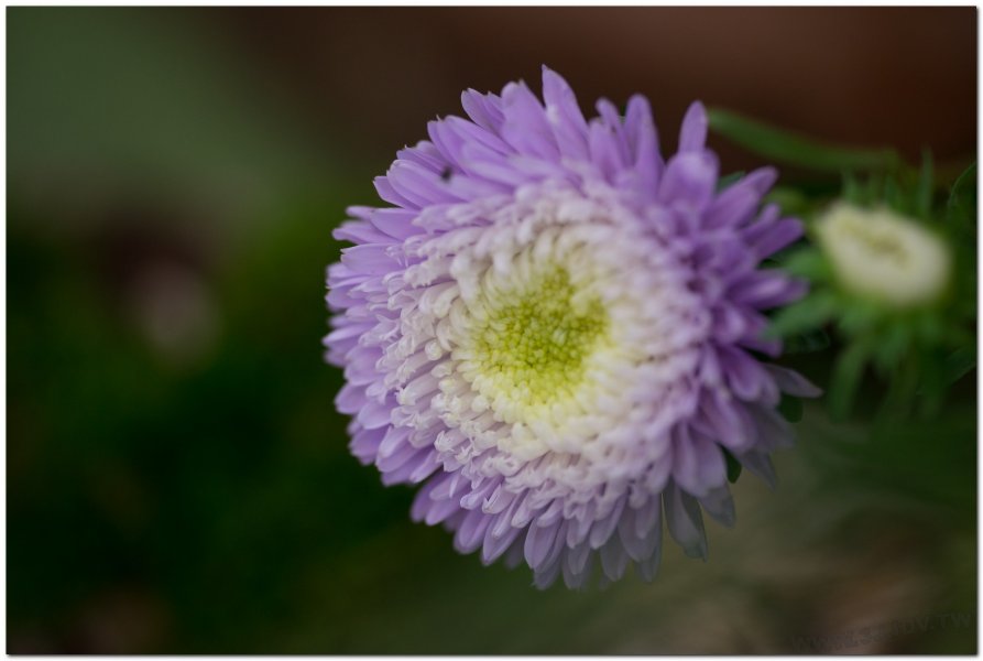 2017茶席文化-思想起