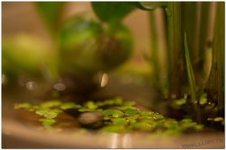 2017茶席文化-思想起