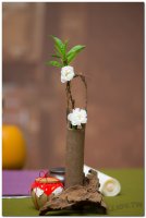 2017茶席文化-思想起