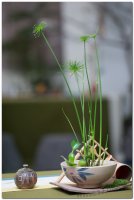 2017茶席文化-思想起