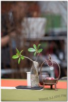 2017茶席文化-思想起