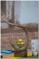 2017茶席文化-思想起