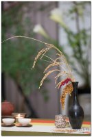 2017茶席文化-思想起