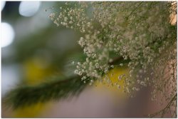 2017茶席文化-思想起