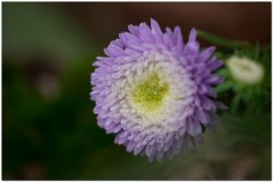 2017茶席文化-思想起