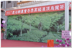 20171230鹿谷農會冬季比賽茶展售現況