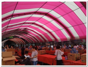 20190608鹿谷農會春季比賽茶展售現況