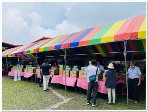 20230610鹿谷農會春季比賽茶展售現況