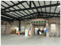 20190510鹿谷農會春季比賽茶交茶狀況